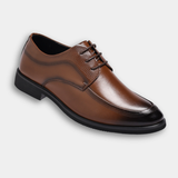VALERO LION | OXFORD CIPELE OD LAKA
